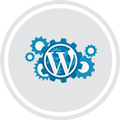 wordpress-development