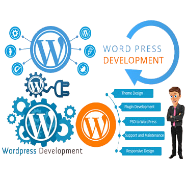 Wordpress Development